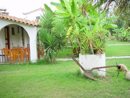 Banana Place Zacharo Exterior foto