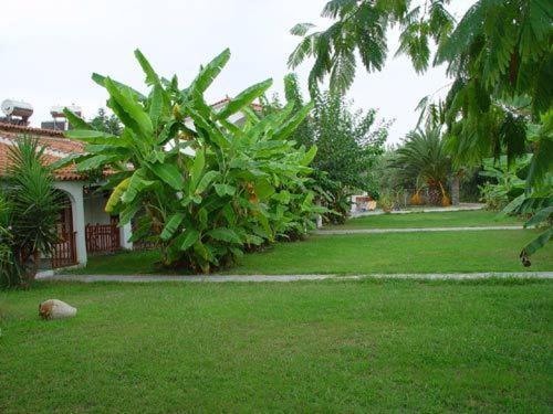 Banana Place Zacharo Exterior foto